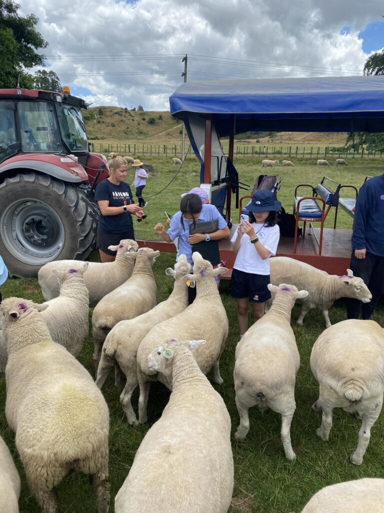 Support for International Students